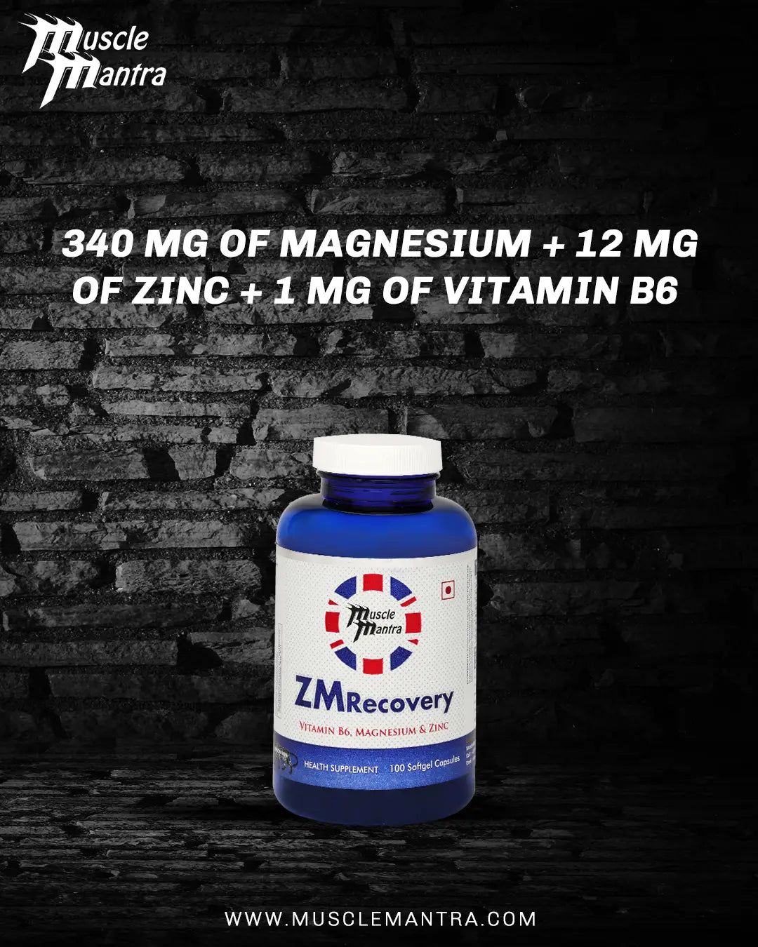 ZM Recovery (ZMA) — view 7