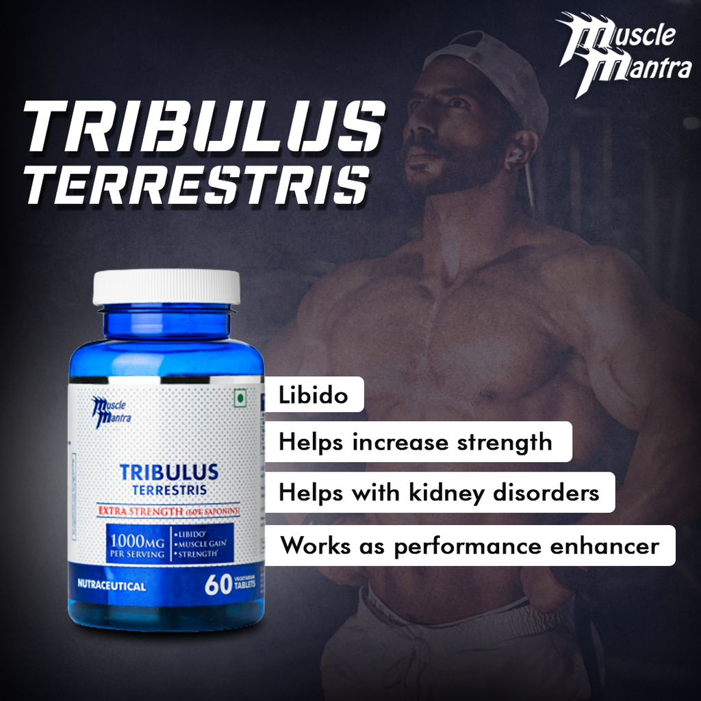 Tribulus online terrestris bodybuilding